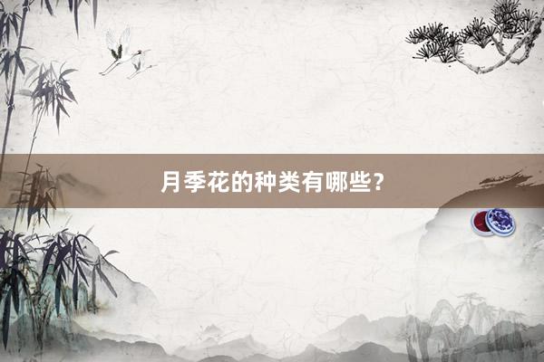 月季花的种类有哪些？