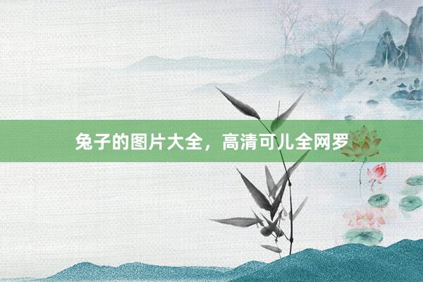兔子的图片大全,高清可儿全网罗