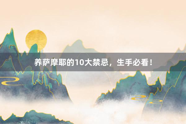 养萨摩耶的10大禁忌，生手必看！